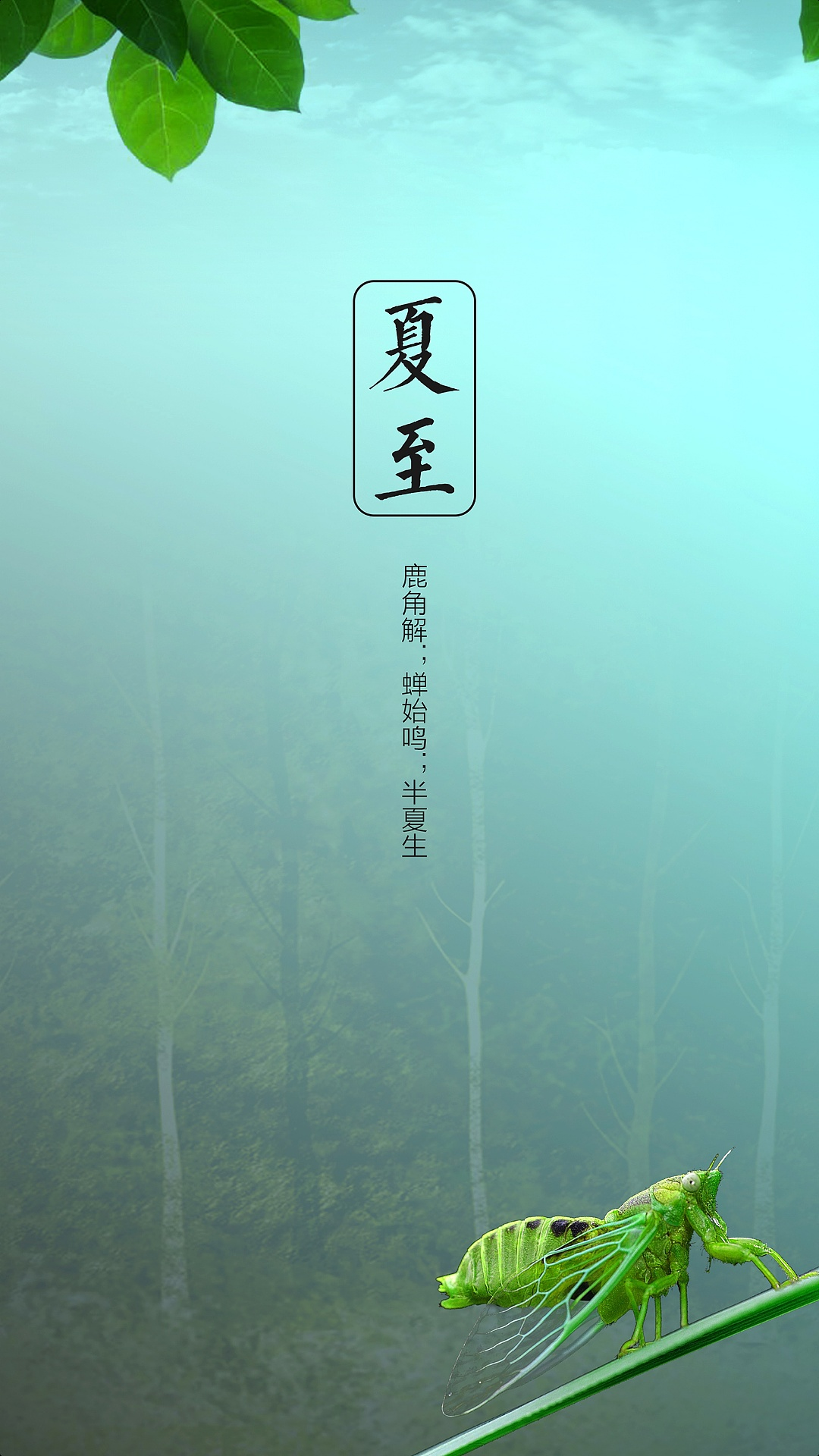夏日炎炎，卡多陪伴，《卡多派對》6月23日IPTV即將上線